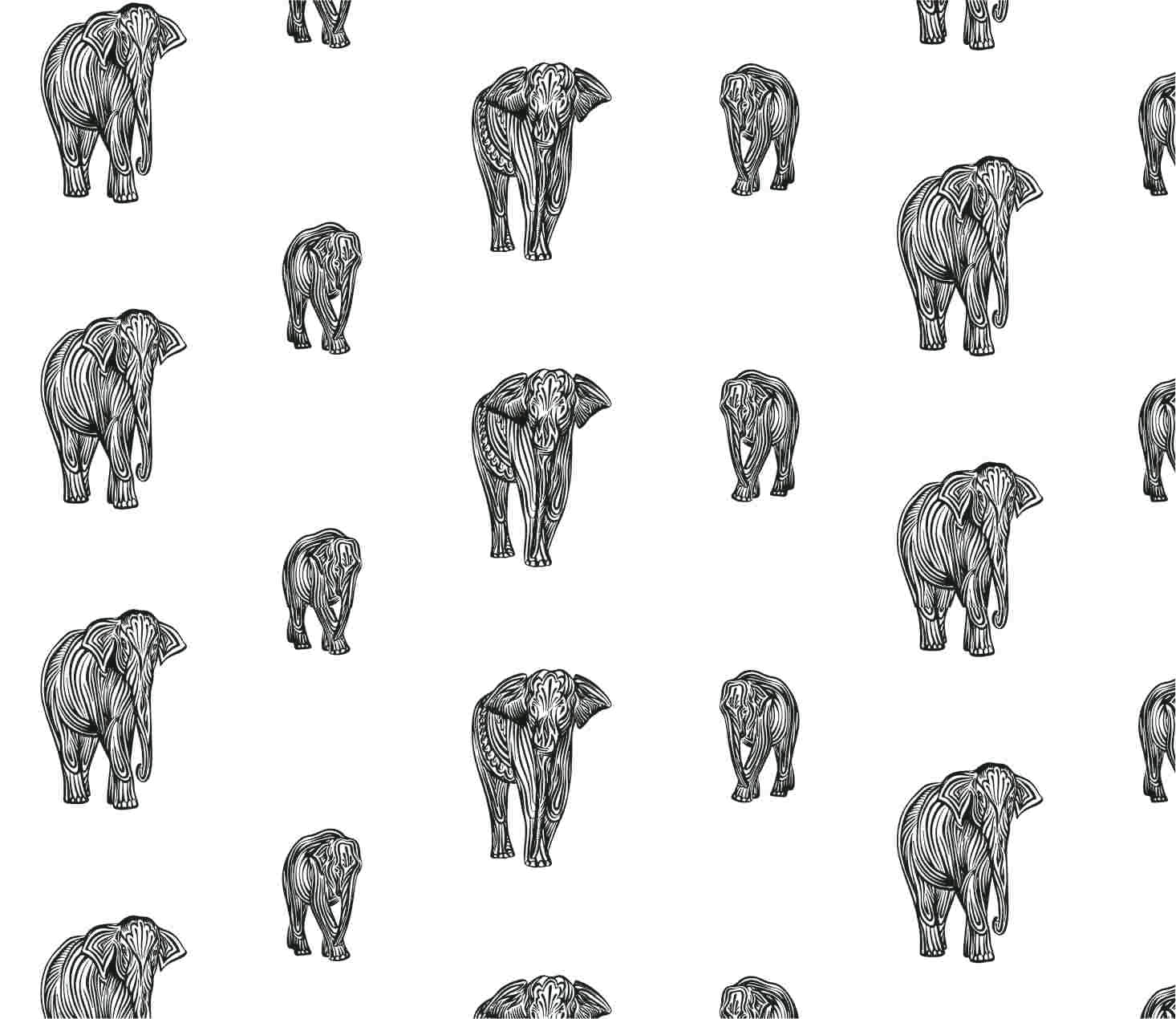 Printed Roller Blinds Code 143