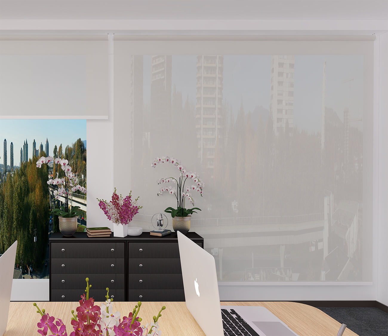 Roller Blinds Dim Out/ Translucent DO501