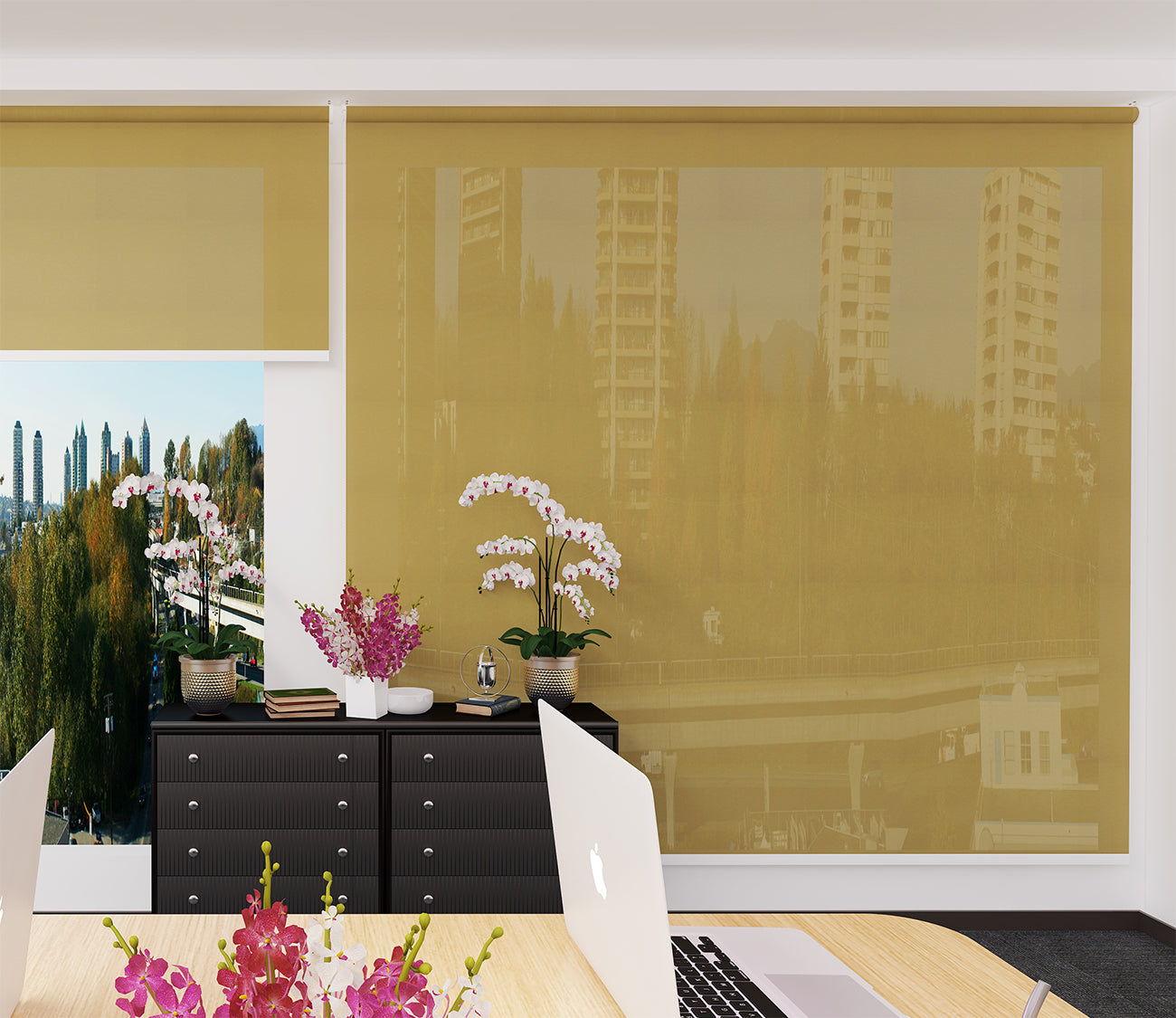 Roller Blinds Dim Out/ Translucent DO504