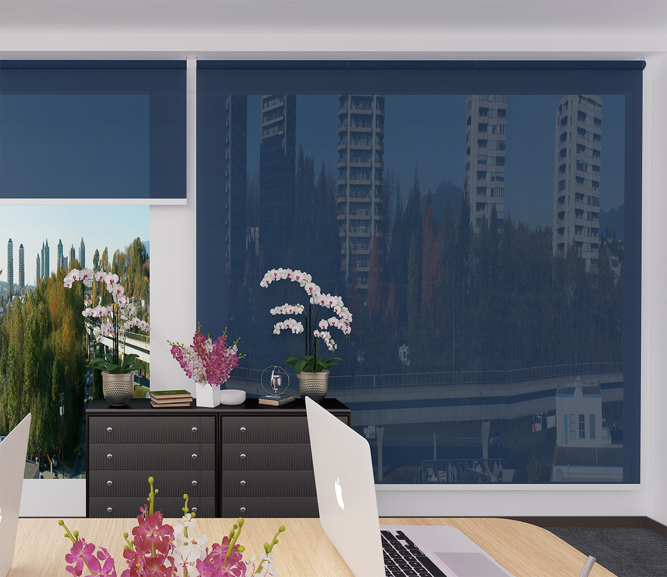 Roller Blinds Dim Out/ Translucent DO507
