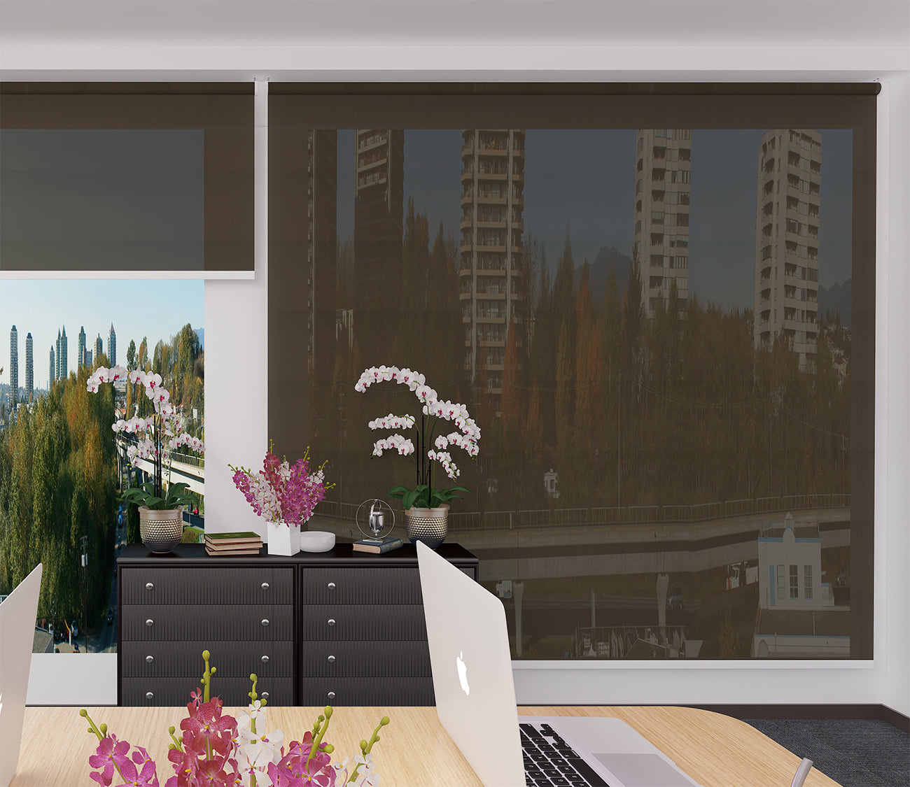 Roller Blinds Dim Out/ Translucent DO508