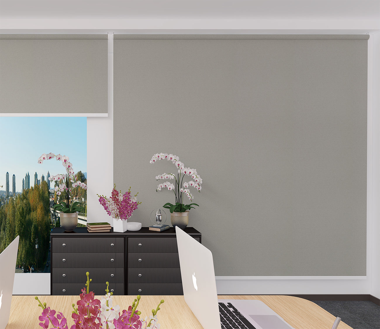 Roller Blinds Eco Block Out 1006