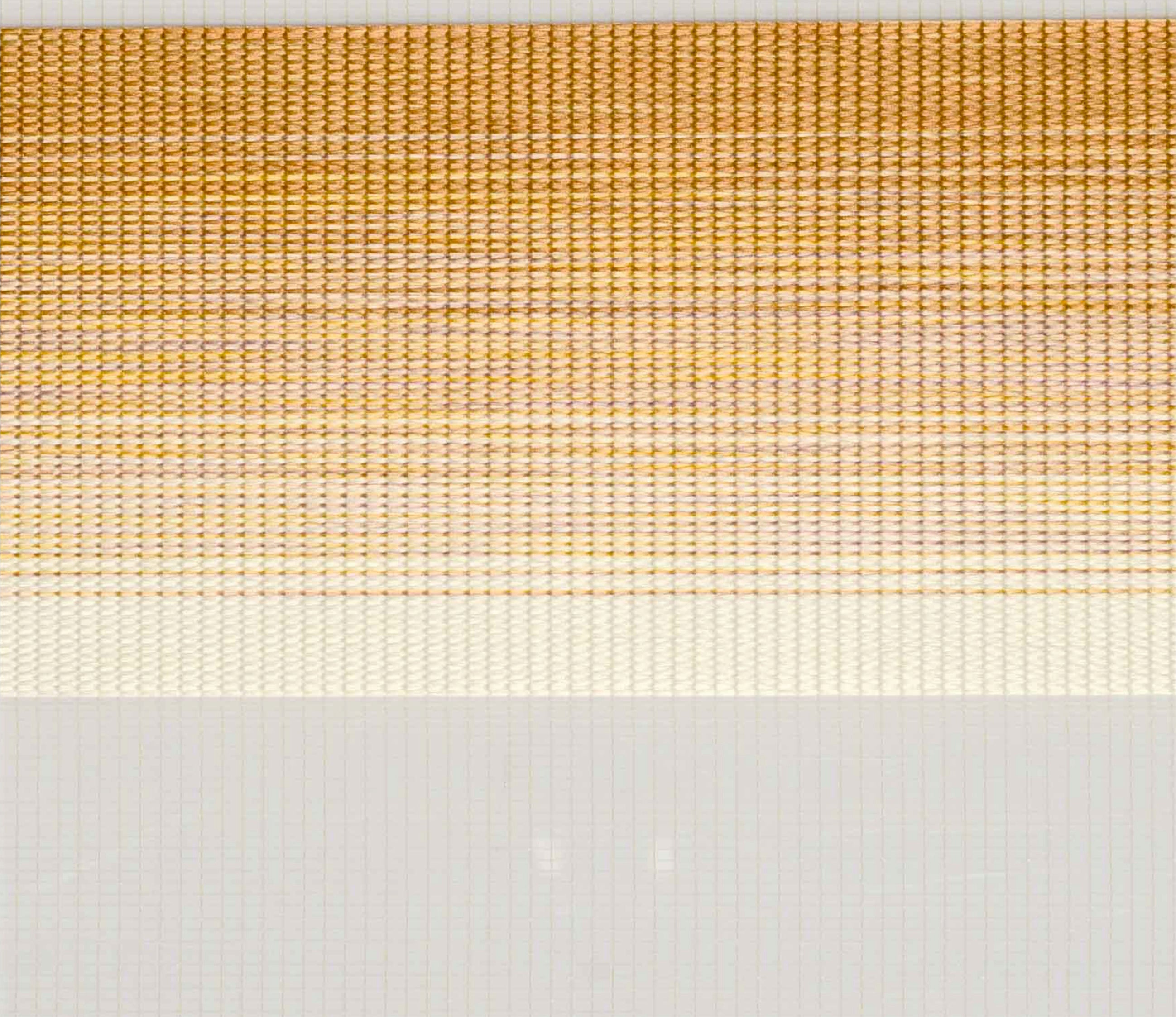 Zebra Blinds - Paro Gold