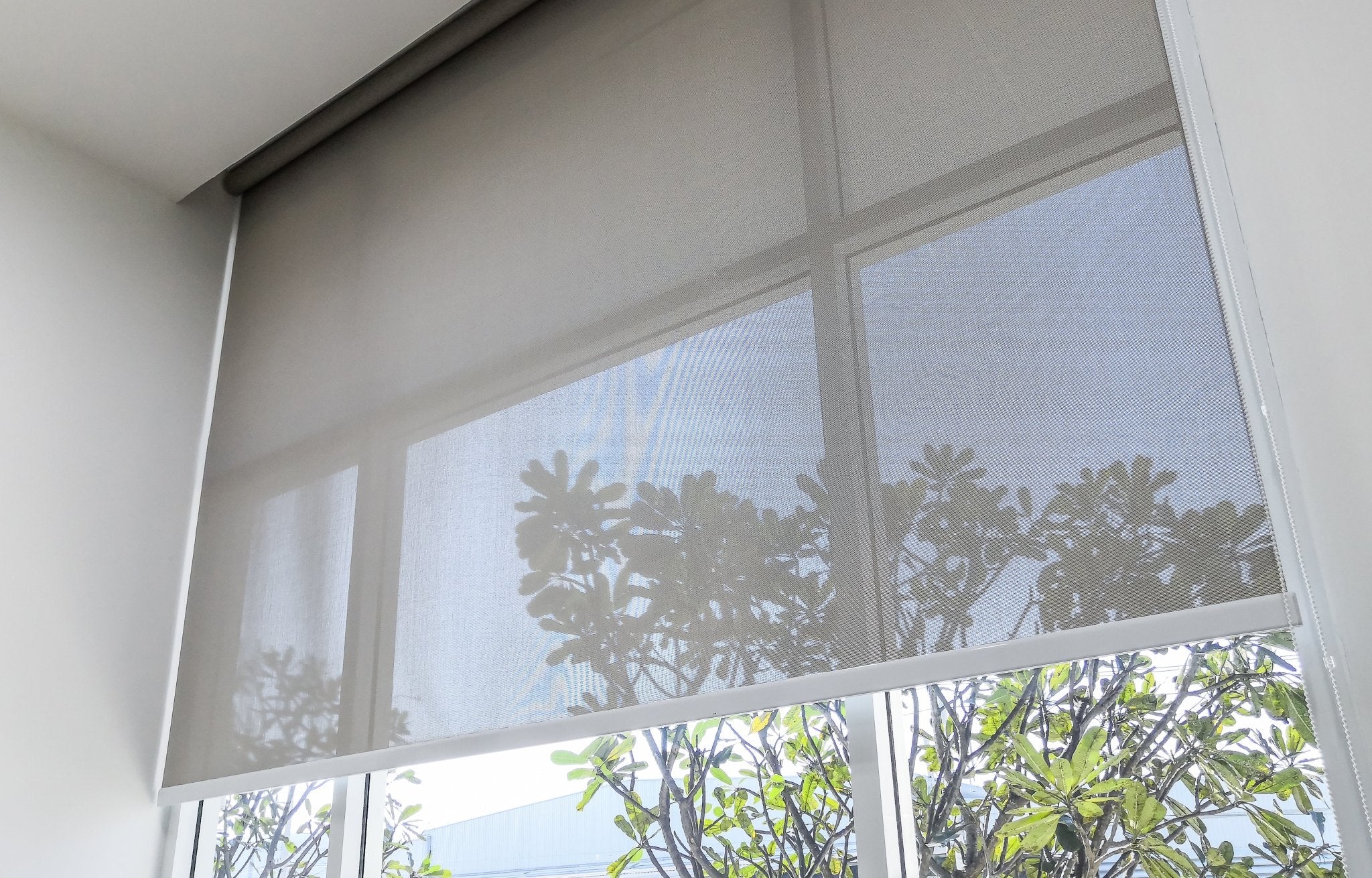 ROLLER BLINDS - Window Wagon