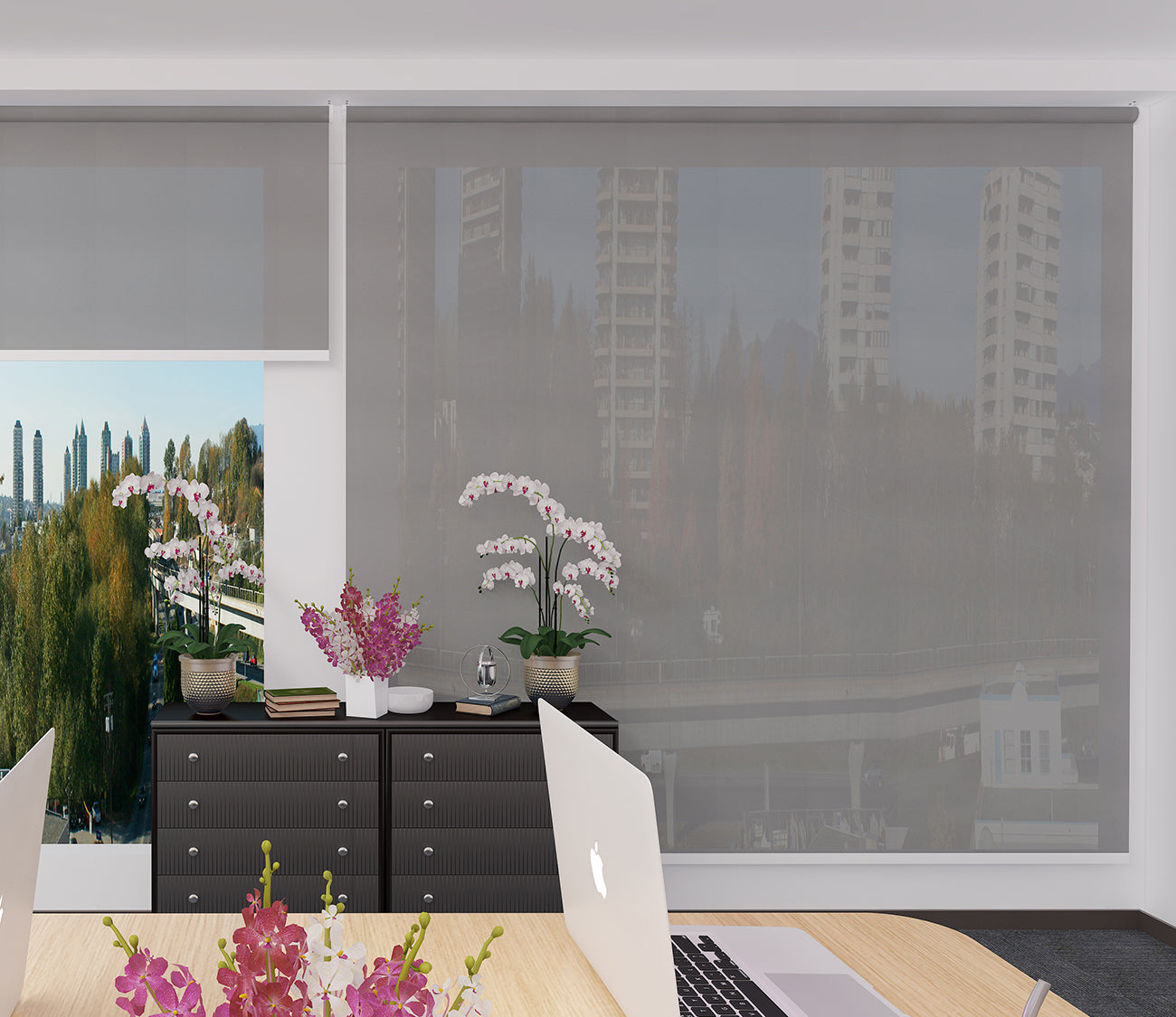 Roller Blinds Dim Out/ Translucent DO2205